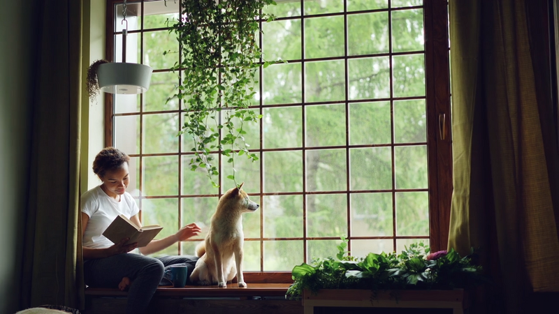 Creating a Peaceful Pet-Friendly Home with Natural Light and Comfort