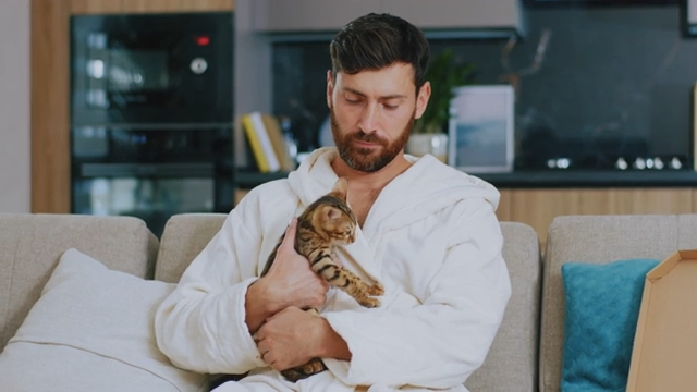 Why Comfort and Bonding Matter in Modern Pet Care