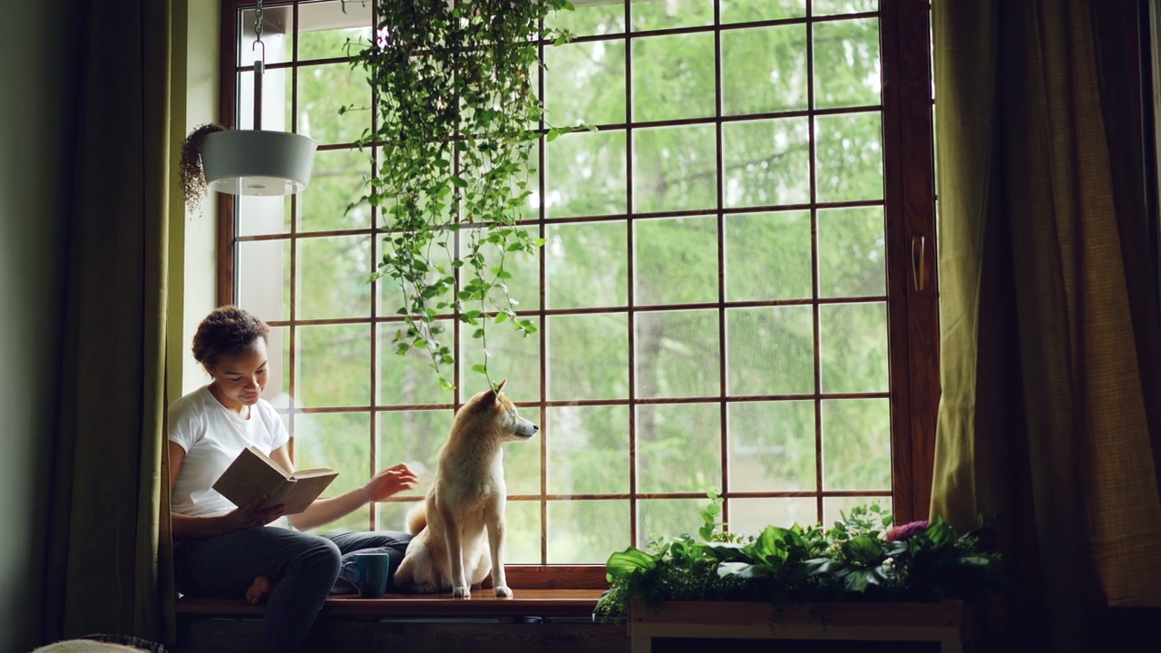 Creating a Peaceful Pet-Friendly Home with Natural Light and Comfort