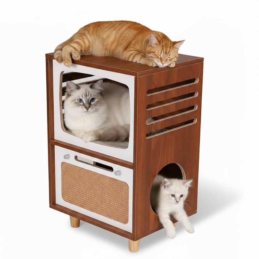 Cat Beds, Trees & Loungers