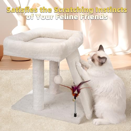 Fashion Cat Tree Activity Tower for Indoor Cats