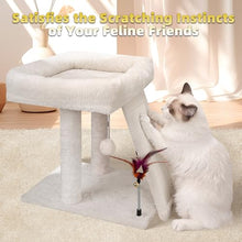 Fashion Cat Tree Activity Tower for Indoor Cats