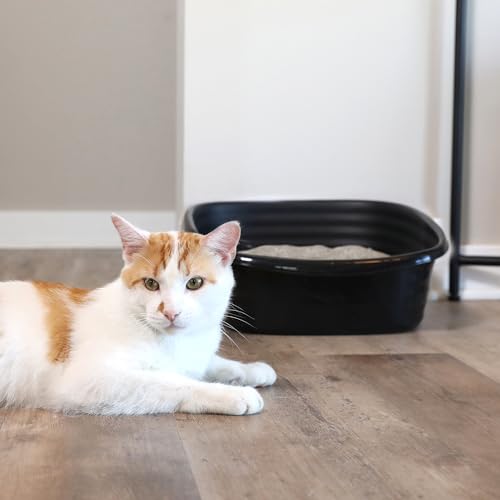 Large Sifting Cat Litter Box with Odor Control Tray