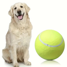Indestructible Squeaky Chew Ball for Aggressive Dogs