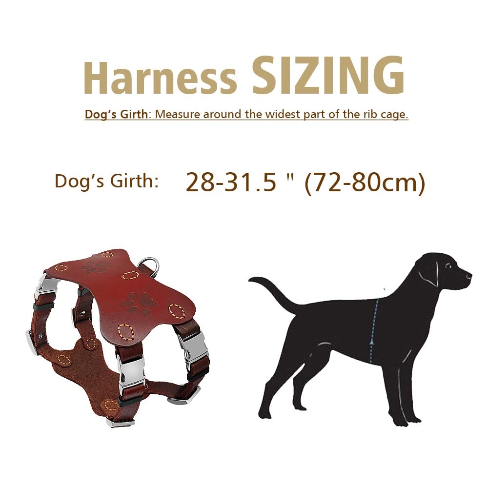 Genuine Leather Dog Harness Vest for Large Dogs