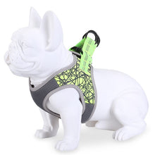 Reflective No-Pull Nylon Dog Harness for Small Dogs