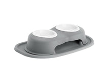 Elevated Double Pet Feeding System for Dogs & Cats