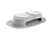 Elevated Double Pet Feeding System for Dogs & Cats