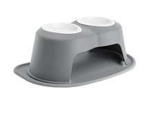 Elevated Double Pet Feeding System for Dogs & Cats