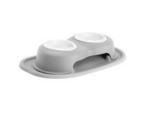 Elevated Double Pet Feeding System for Dogs & Cats