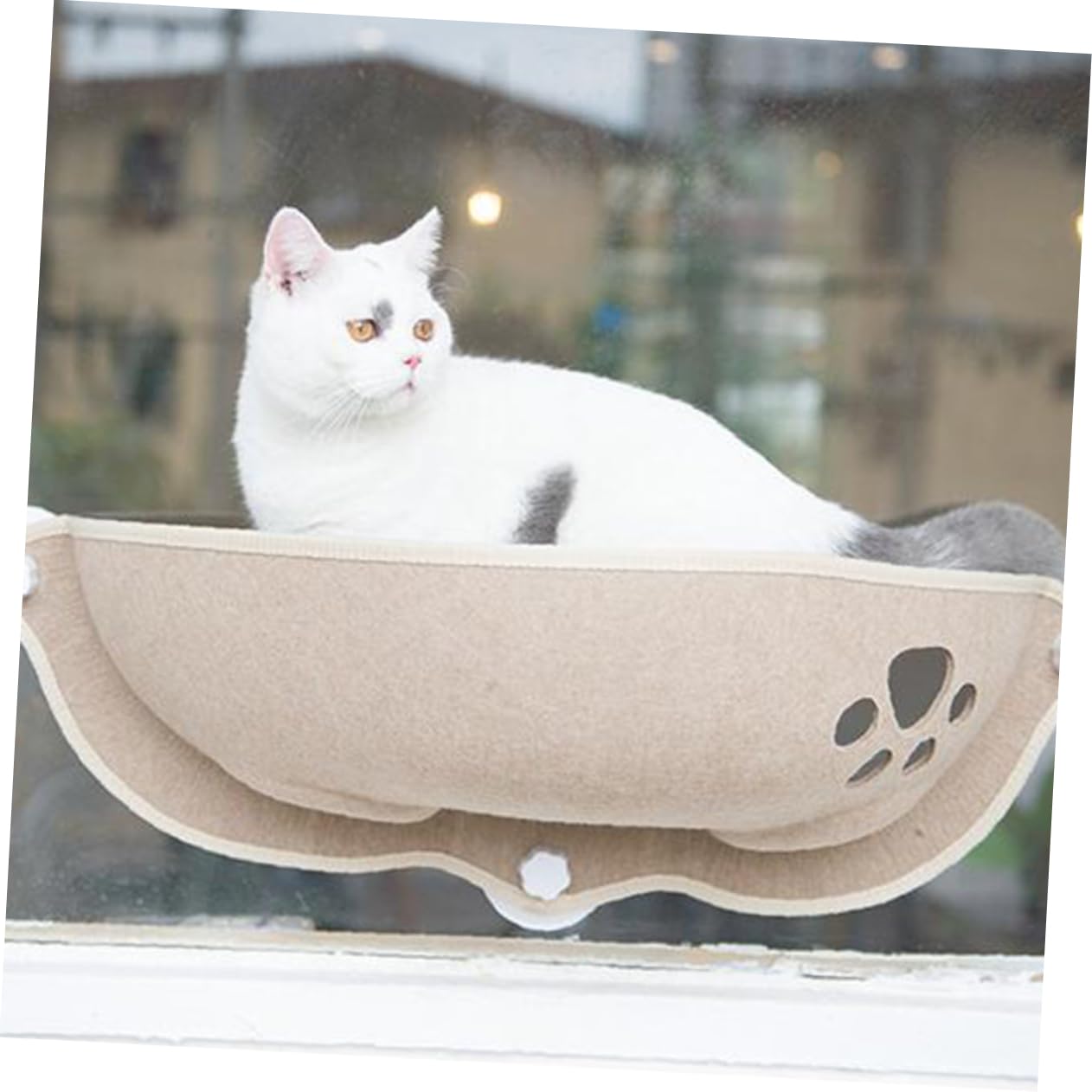 Space-Saving Window Cat Nest with Suction Cups