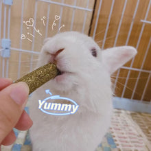 Natural Bunny Chew Toys with Apple Wood & Timothy Grass