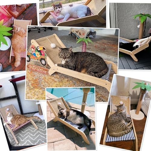 Beach Chair Cat Hammock with Sisal Scratcher & Toy Ball