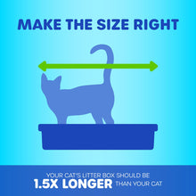 Basic Open Cat Litter Box Pan for Indoor Cats