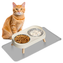 Raised Cat Food & Water Bowl Set for Indoor Cats