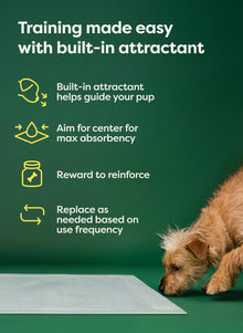 Max Absorbency Puppy Pee Pads for Potty Training