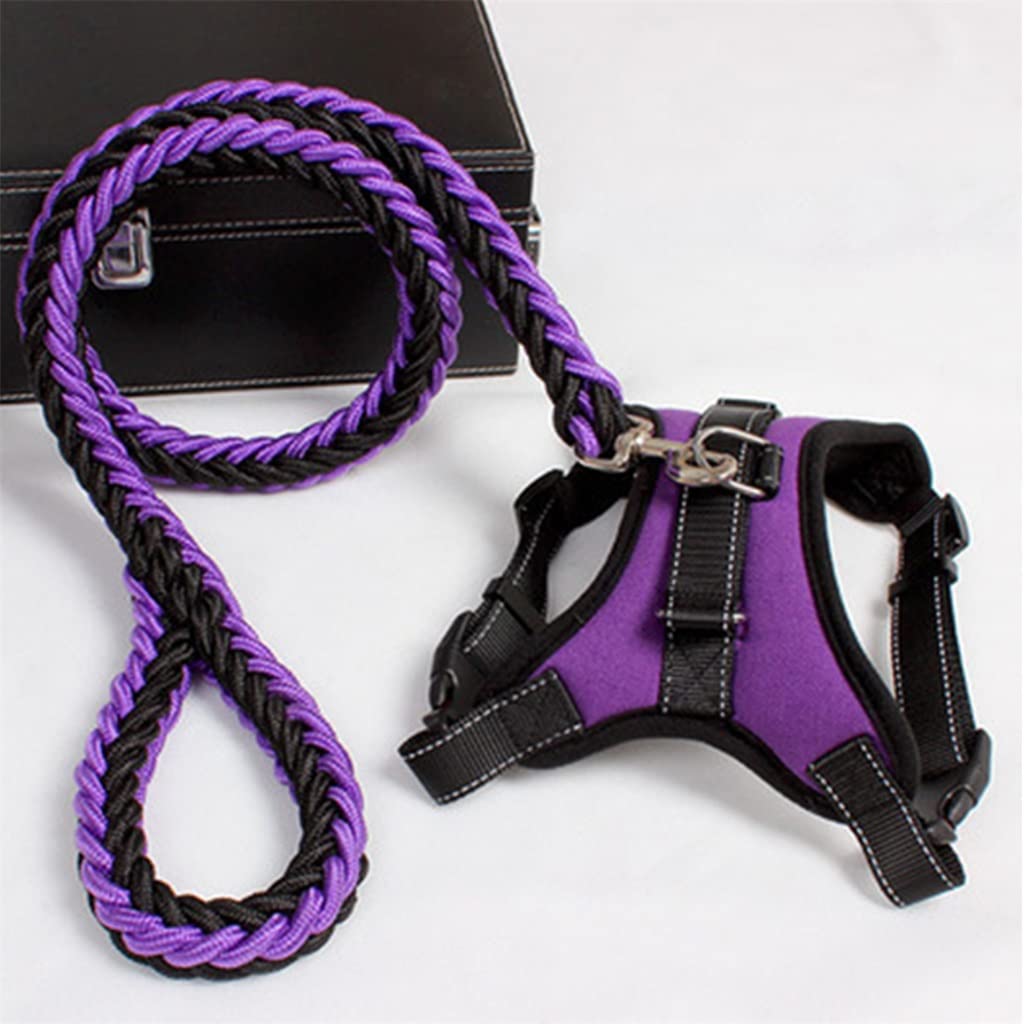 Adjustable Dog Walking Harness & Leash Set for Medium Dogs