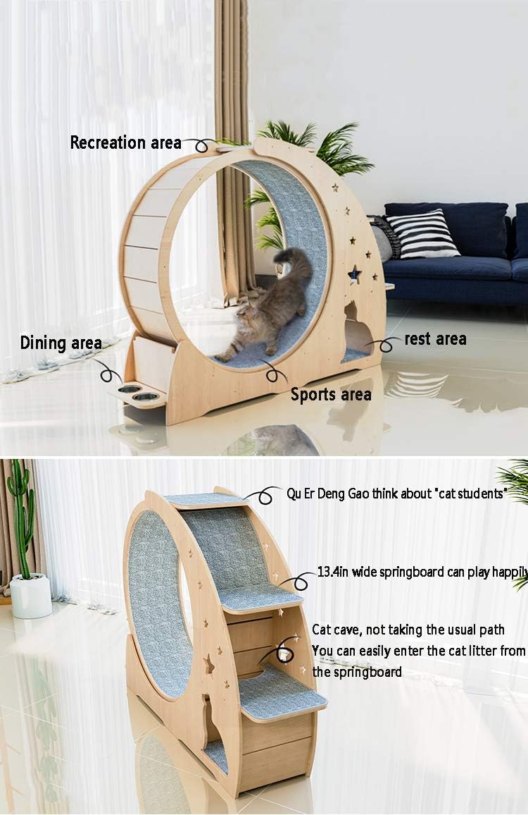 Cat Exercise Wheel & Scratch Board Activity Center
