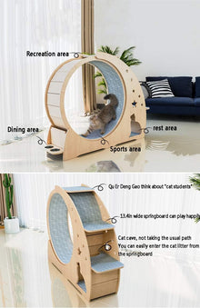 Cat Exercise Wheel & Scratch Board Activity Center
