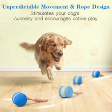 Motion-Activated Rolling Dog Ball with Rope Toy