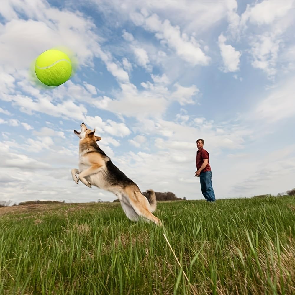 Indestructible Squeaky Chew Ball for Aggressive Dogs
