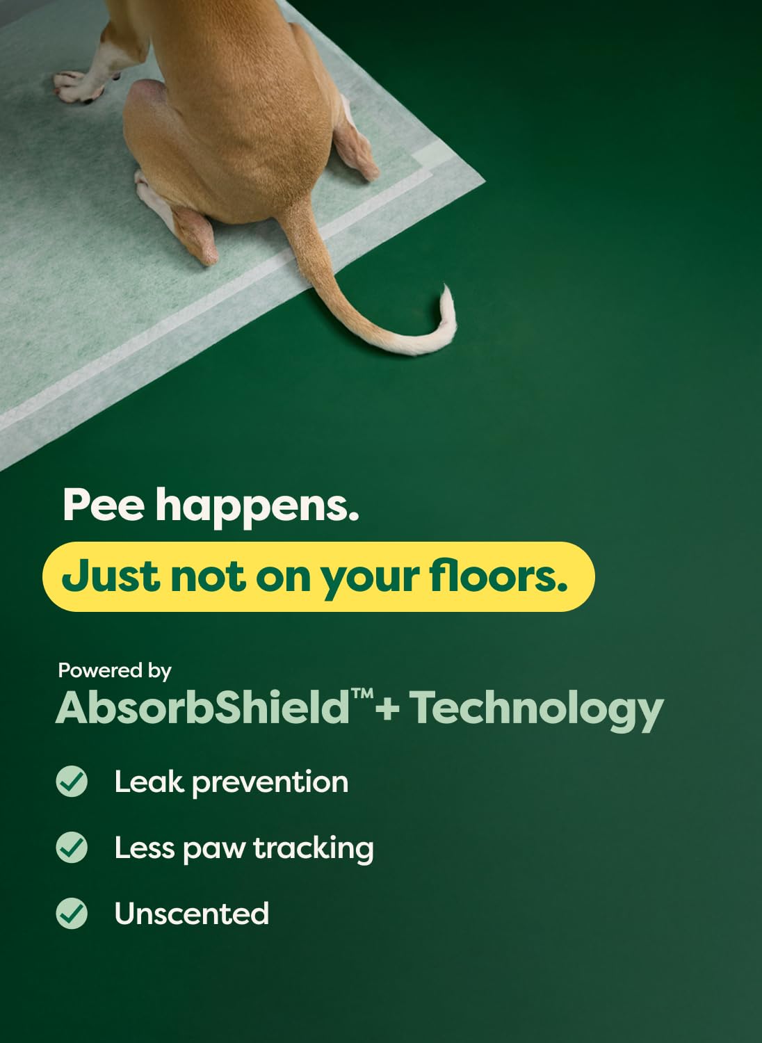 Max Absorbency Puppy Pee Pads for Potty Training