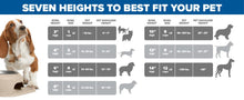 Elevated Double Pet Feeding System for Dogs & Cats