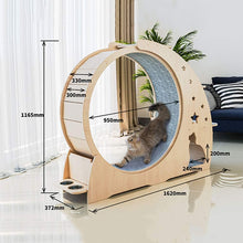 Cat Exercise Wheel & Scratch Board Activity Center
