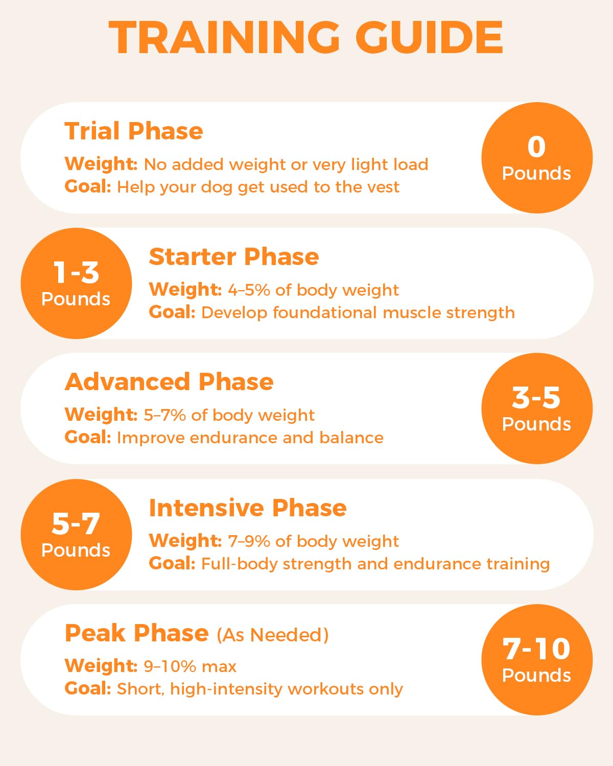 Reflective No-Pull Nylon Dog Harness for Small Dogs