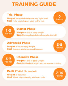 Reflective No-Pull Nylon Dog Harness for Small Dogs