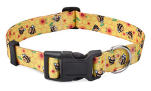 Bohemian Floral Adjustable Dog Collar for All Sizes