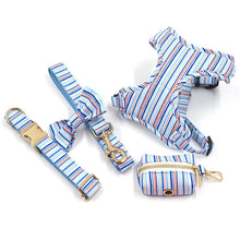 Personalized No-Pull Dog Harness & Leash Set with Bowtie
