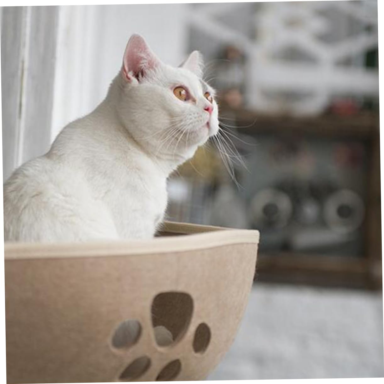 Space-Saving Window Cat Nest with Suction Cups
