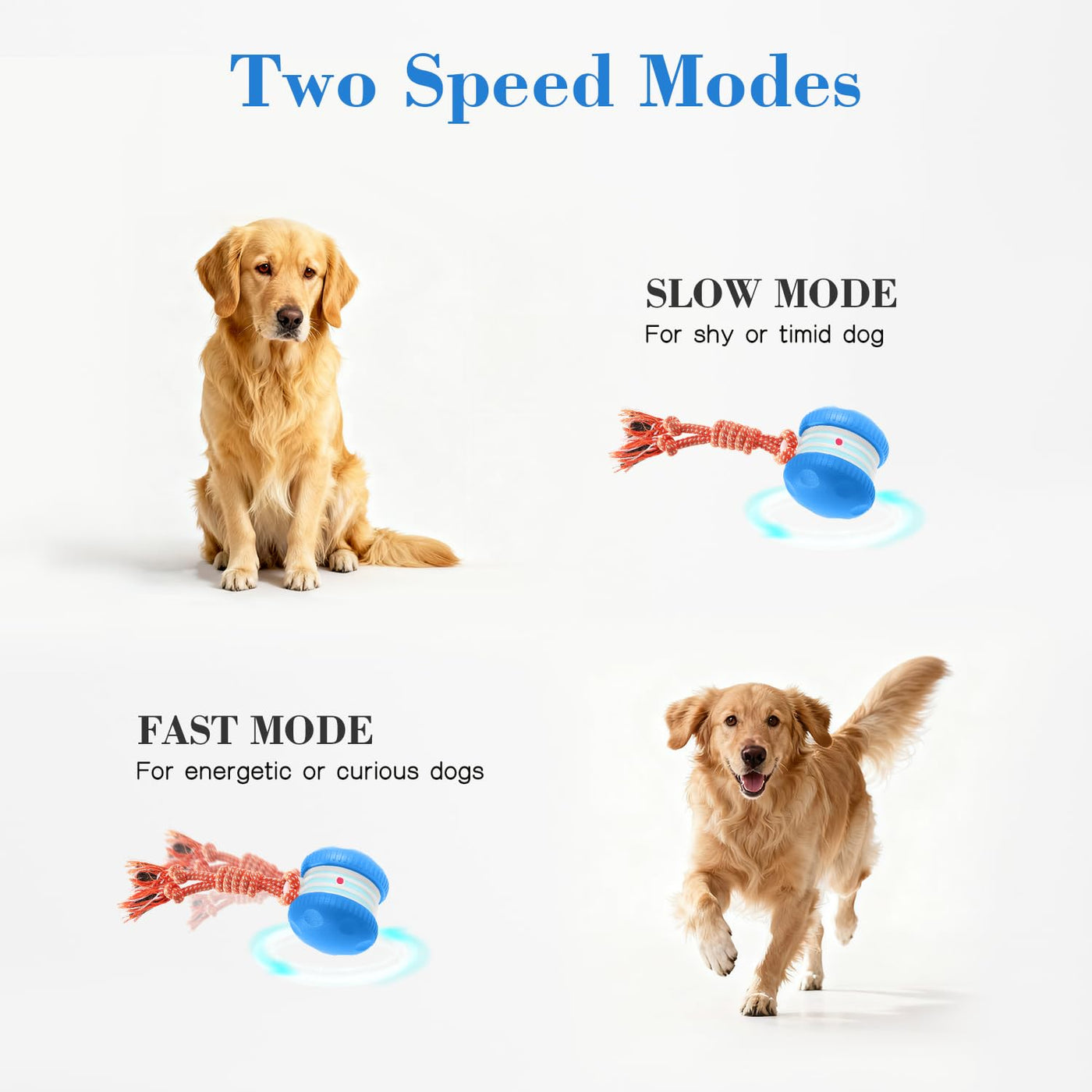 Motion-Activated Rolling Dog Ball with Rope Toy
