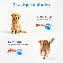 Motion-Activated Rolling Dog Ball with Rope Toy