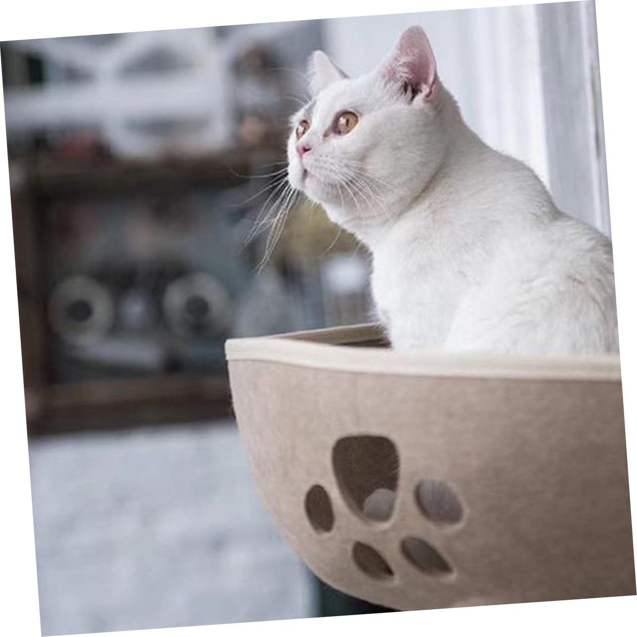 Space-Saving Window Cat Nest with Suction Cups