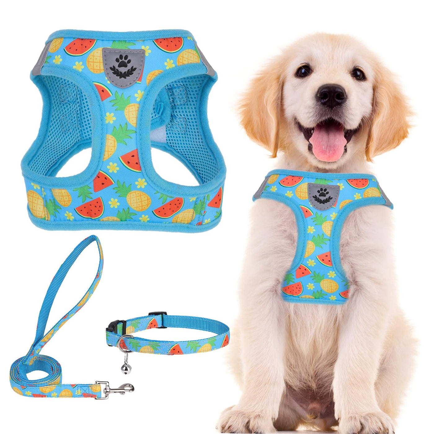 Adjustable No-Pull Dog & Cat Harness Leash Set