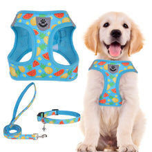 Adjustable No-Pull Dog & Cat Harness Leash Set