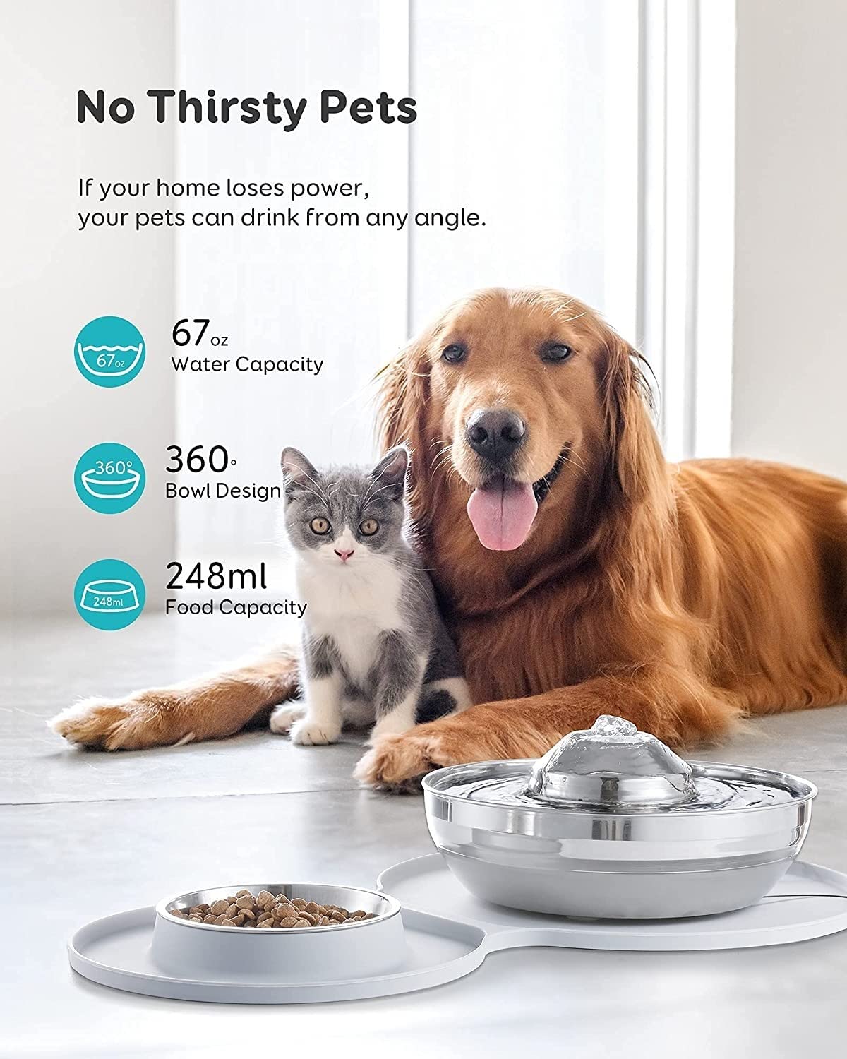 2-in-1 Pet Feeder & Stainless Steel Water Fountain