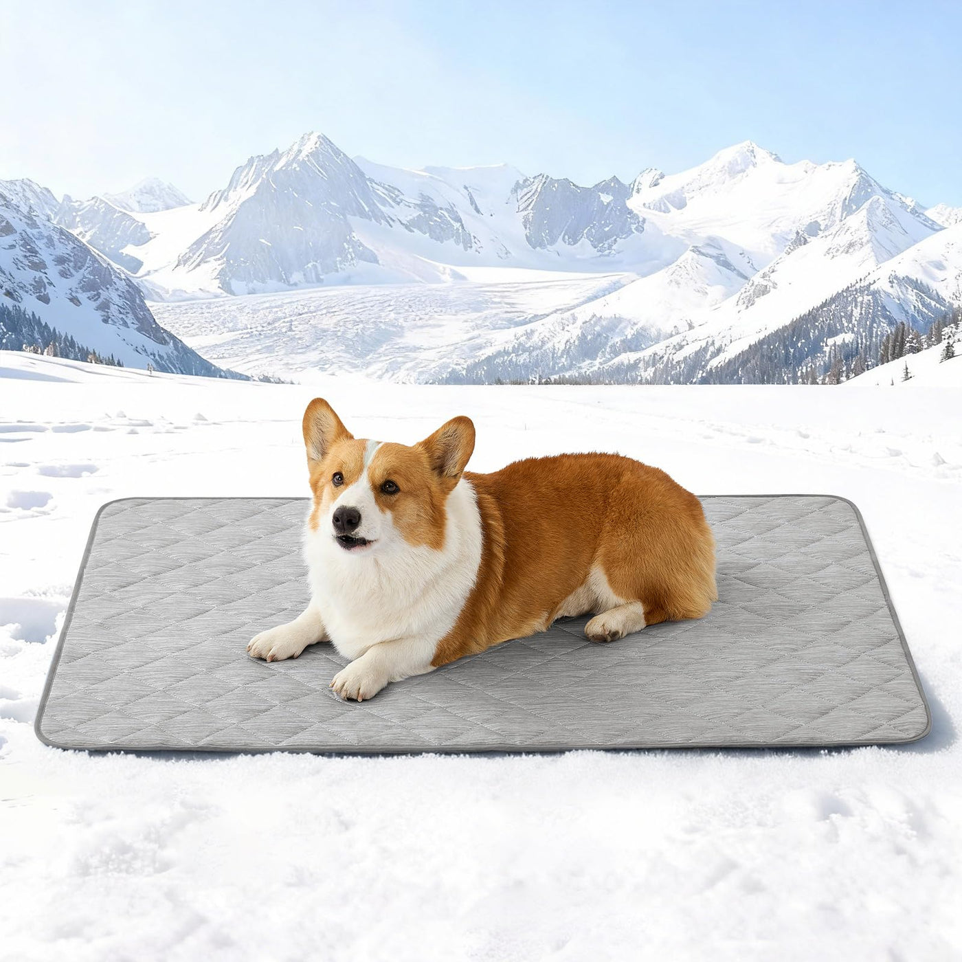Extra Large Waterproof Cooling Mat for Large Dogs