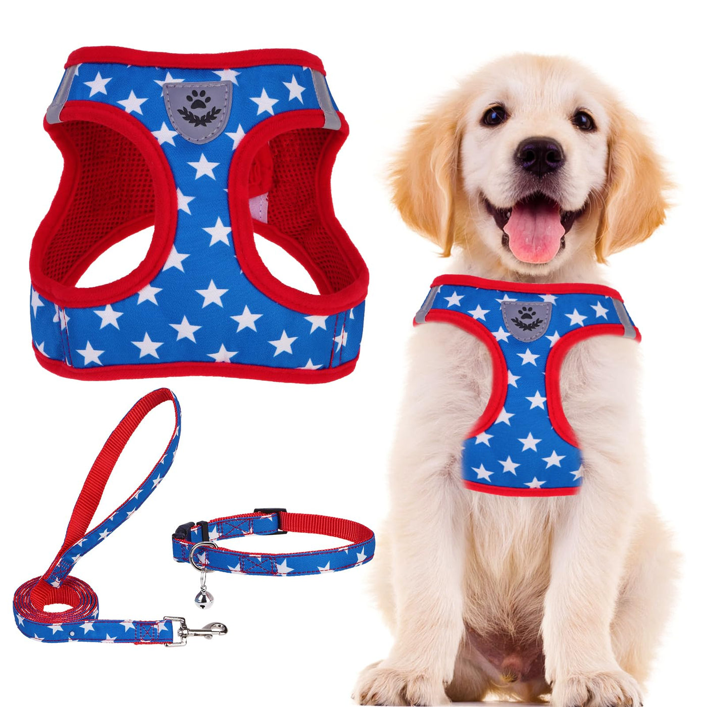 Adjustable No-Pull Dog & Cat Harness Leash Set