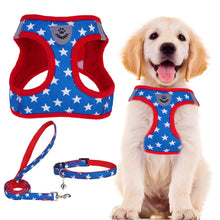 Adjustable No-Pull Dog & Cat Harness Leash Set