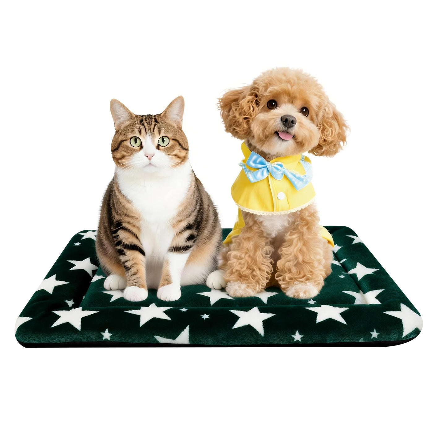 Washable Reversible Dog Crate Bed with Non-Slip Pad
