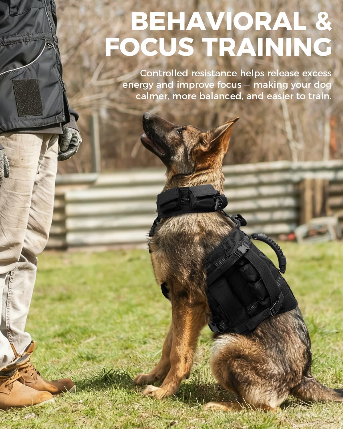 Reflective No-Pull Nylon Dog Harness for Small Dogs