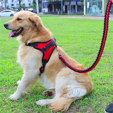 Adjustable Dog Walking Harness & Leash Set for Medium Dogs