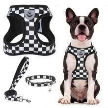 Adjustable No-Pull Dog & Cat Harness Leash Set