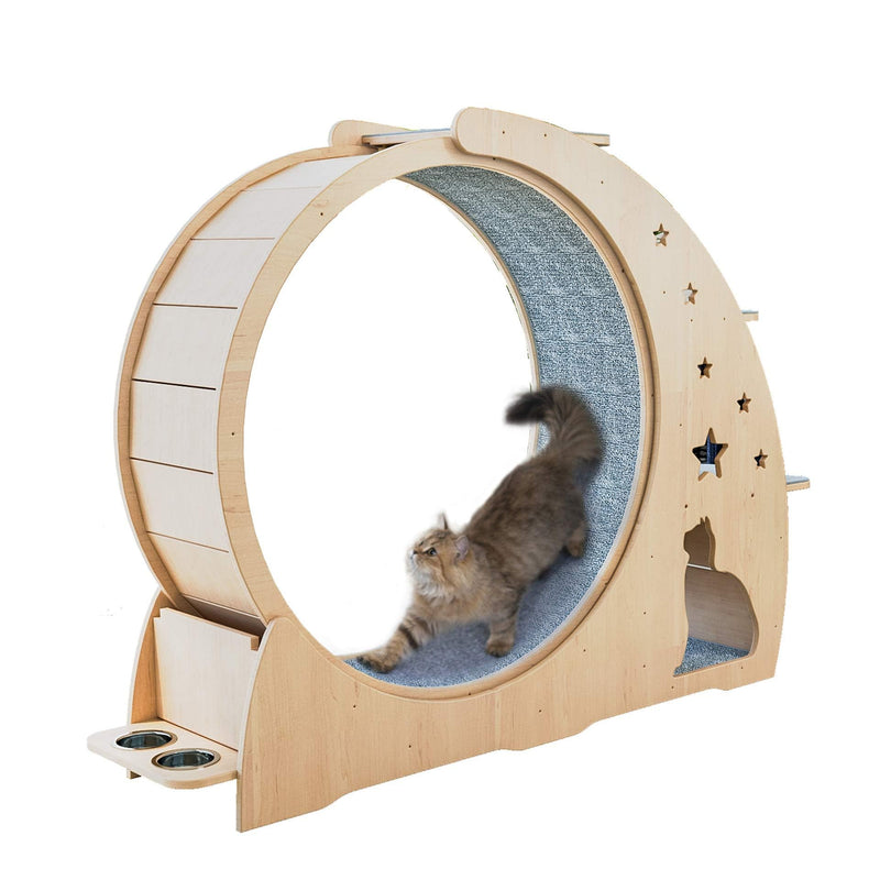 Cat Exercise Wheel & Scratch Board Activity Center