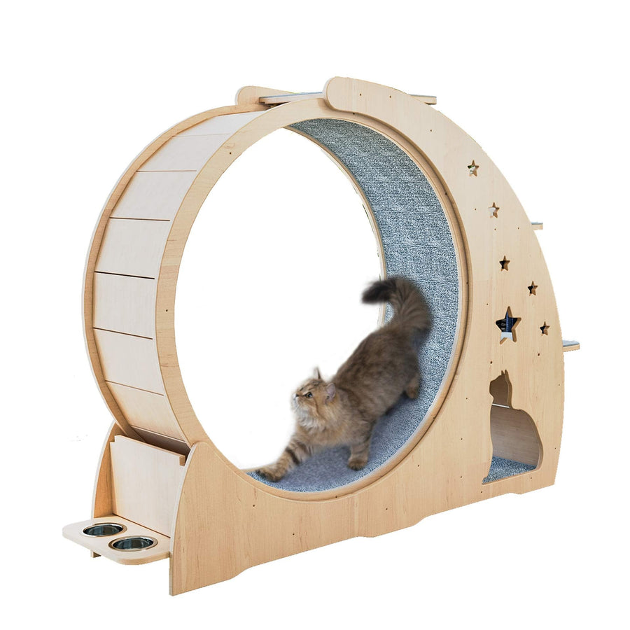 Cat Exercise Wheel & Scratch Board Activity Center