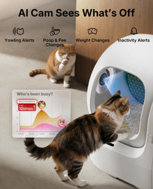 Smart Self-Cleaning Cat Litter Box with AI Camera