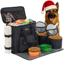 Airline-Approved Dog & Cat Travel Organizer Bag